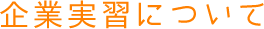 企業実習について